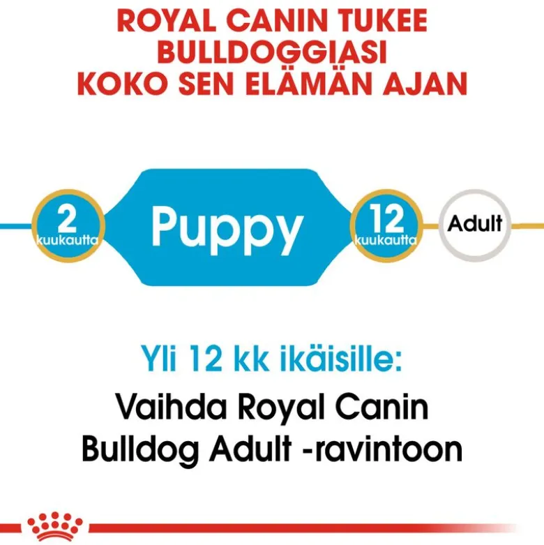 Royal Canin Bulldog Puppy