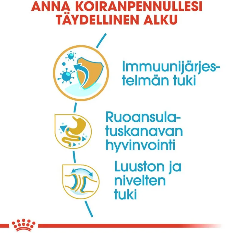 Royal Canin Bulldog Puppy