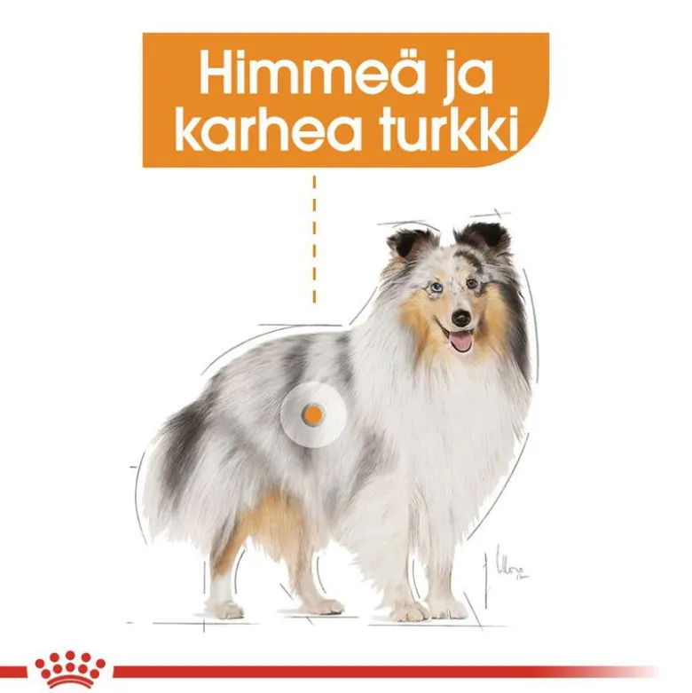 Royal Canin Care Nutrition CCN Coat Care