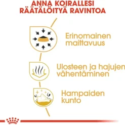 Royal Canin Chihuahua Adult