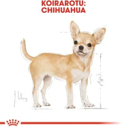 Royal Canin Chihuahua Adult Mousse