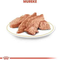 Royal Canin Chihuahua Adult Mousse