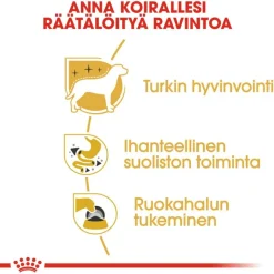 Royal Canin Chihuahua Adult Mousse