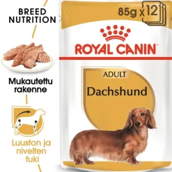Royal Canin Dachshund Mousse