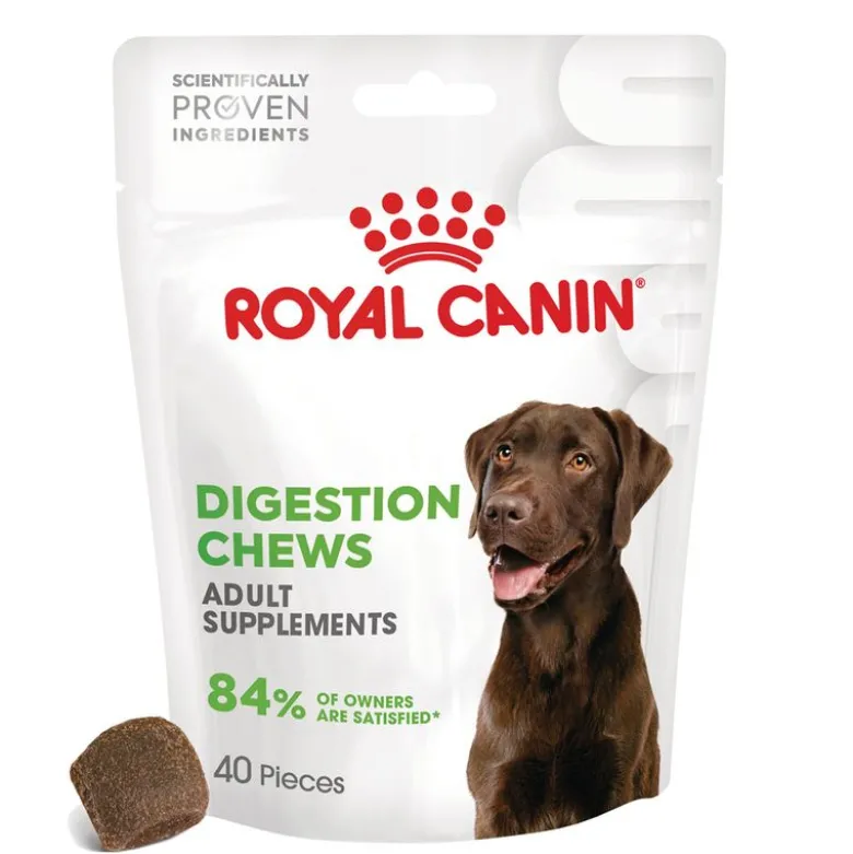 Royal Canin Digestion Chews Adult Supplement