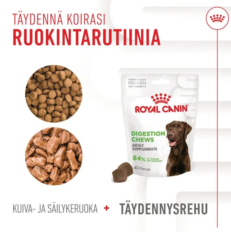 Royal Canin Digestion Chews Adult Supplement