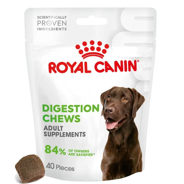 Royal Canin Digestion Chews Adult Supplement