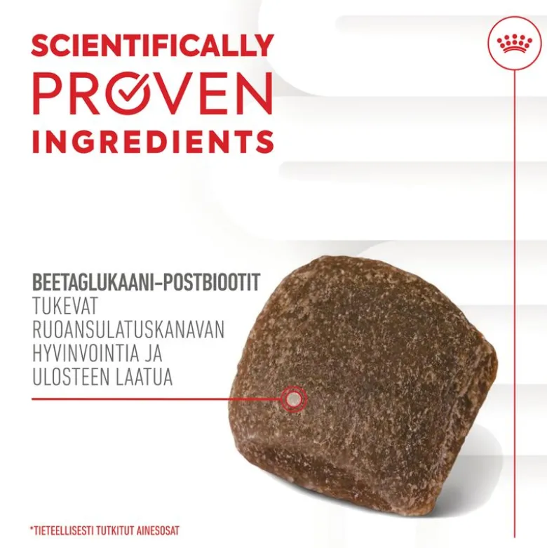 Royal Canin Digestion Chews Adult Supplement