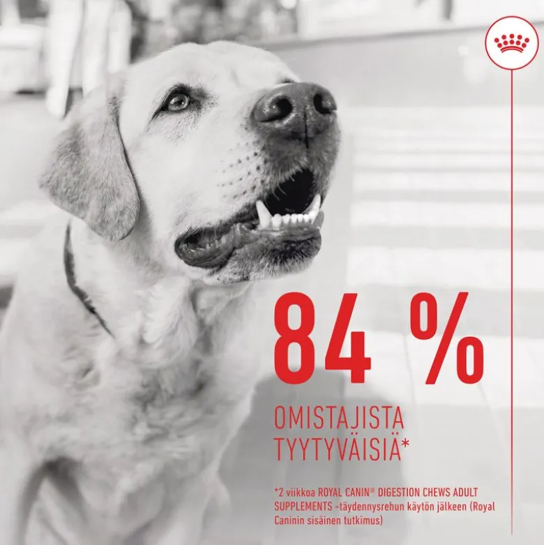 Royal Canin Digestion Chews Adult Supplement