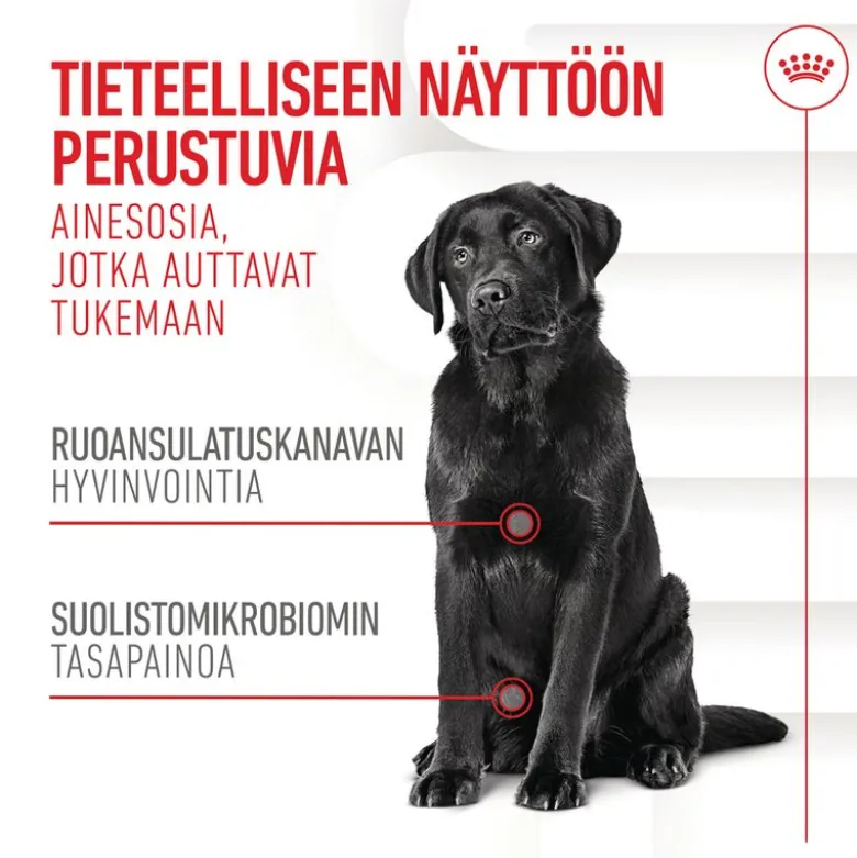 Royal Canin Digestion Chews Adult Supplement