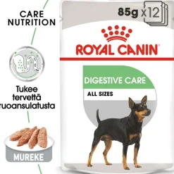 Royal Canin Digestive Care Mousse