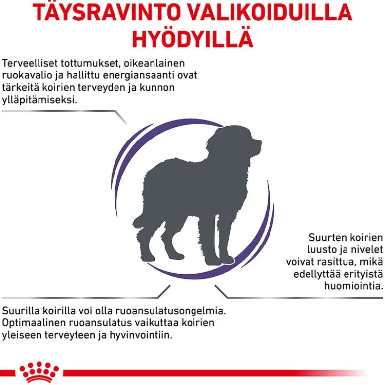 Royal Canin Expert Canine Adult Large Dog