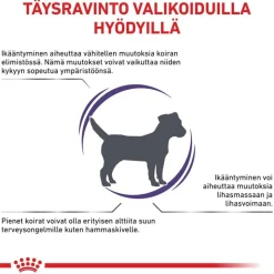 Royal Canin Expert Canine Mature Consult Small Dog