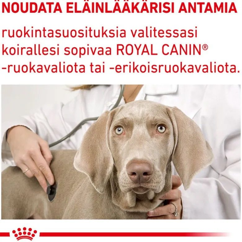 Royal Canin Expert Canine Mature Consult Large Dog