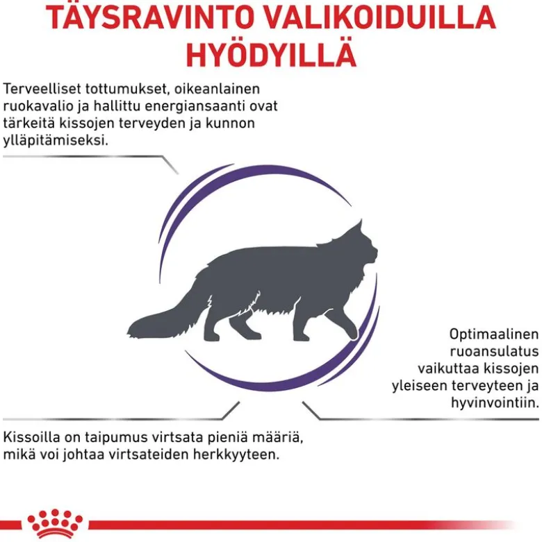 Royal Canin Expert Feline Adult