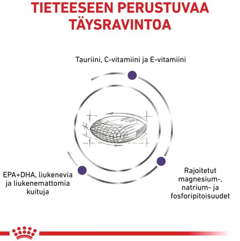 Royal Canin Expert Feline Adult