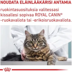 Royal Canin Expert Feline Adult