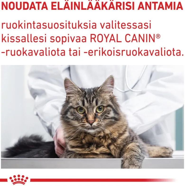 Royal Canin Expert Feline Adult