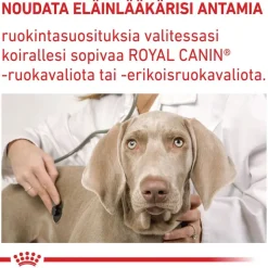 Royal Canin Expert Mature Consult Medium Dog