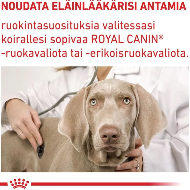 Royal Canin Expert Mature Consult Medium Dog