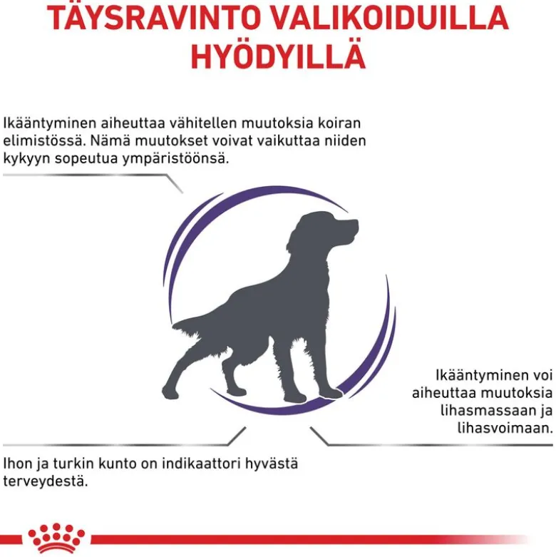 Royal Canin Expert Mature Consult Medium Dog