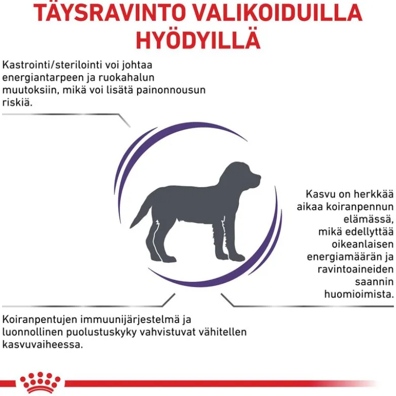 Royal Canin Expert Neutered Junior Medium Dogs
