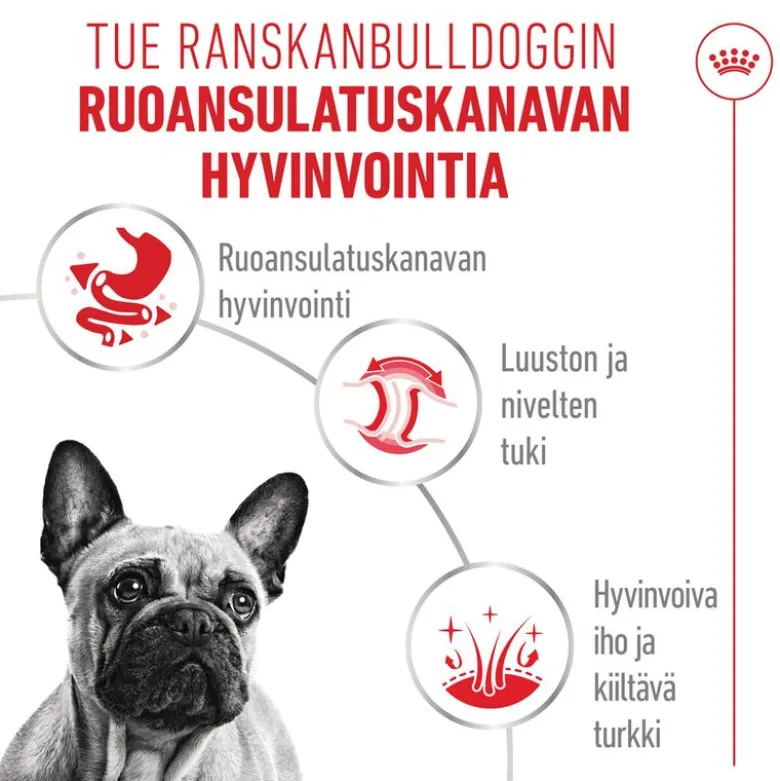 Royal Canin French Bulldog Loaf