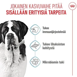 Royal Canin Giant Junior