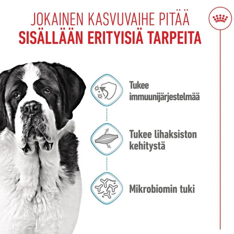 Royal Canin Giant Junior