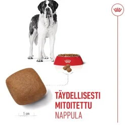 Royal Canin Giant Junior