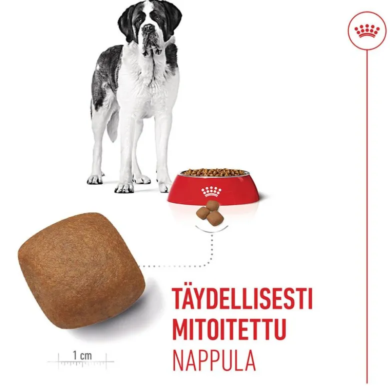 Royal Canin Giant Junior