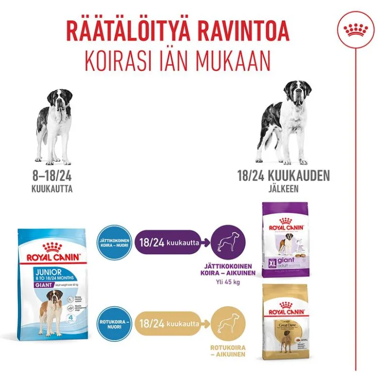 Royal Canin Giant Junior
