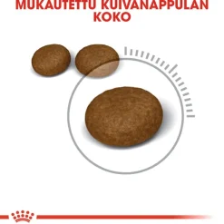 Royal Canin Hair & Skin Care