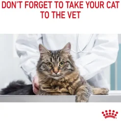 Royal Canin Hair & Skin Care in Gravy
