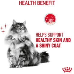 Royal Canin Hair & Skin Care in Gravy