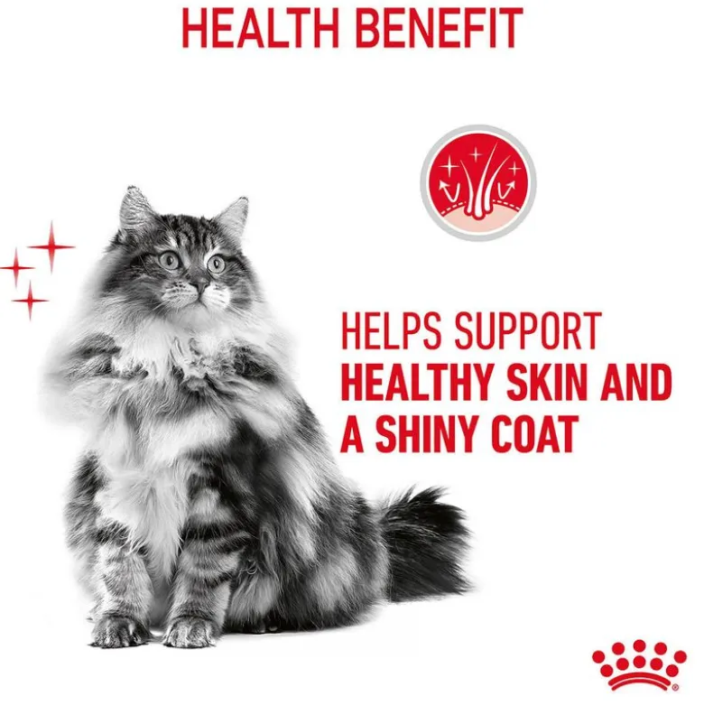 Royal Canin Hair & Skin Care in Gravy