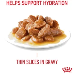 Royal Canin Hair & Skin Care in Gravy