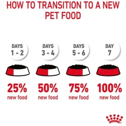 Royal Canin Hair & Skin Care in Gravy