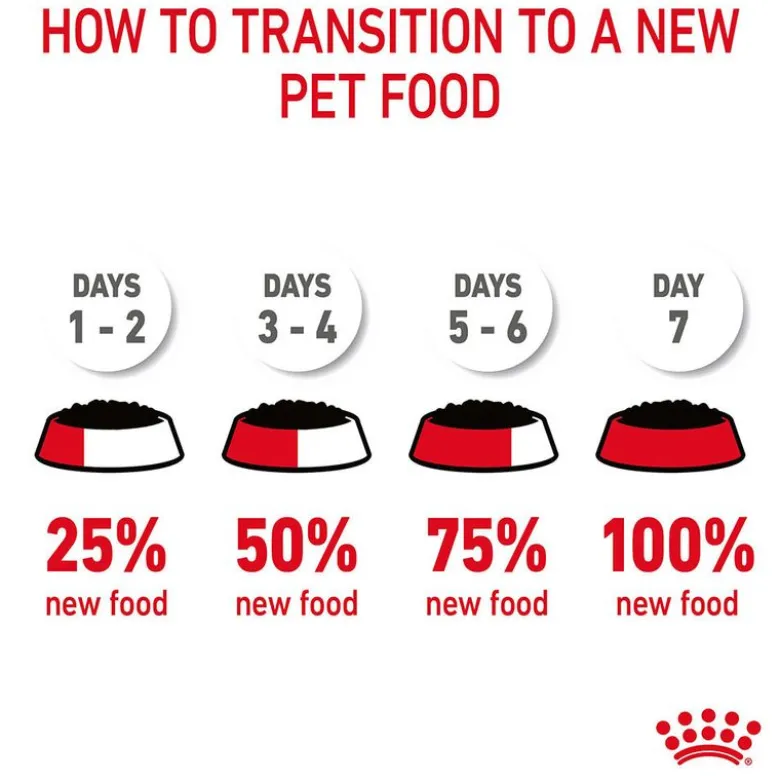 Royal Canin Hair & Skin Care in Gravy