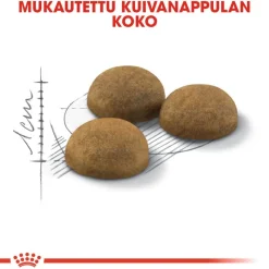 Royal Canin Indoor Long Hair