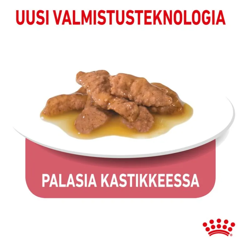 Royal Canin Indoor Sterilised kastikkeessa