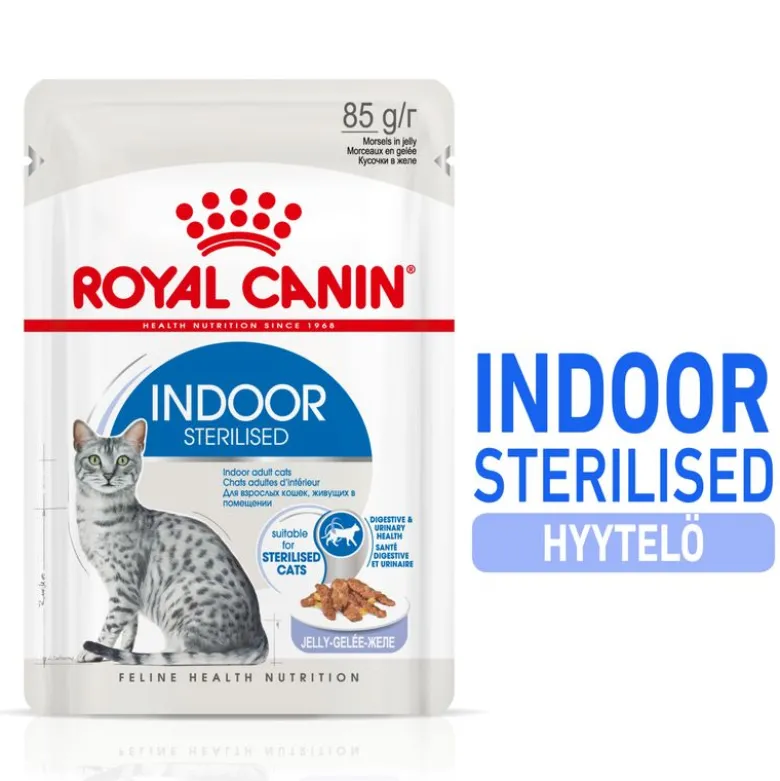 Royal Canin Indoor Sterilised hyytelössä
