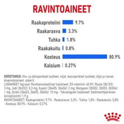 Royal Canin Indoor Sterilised hyytelössä
