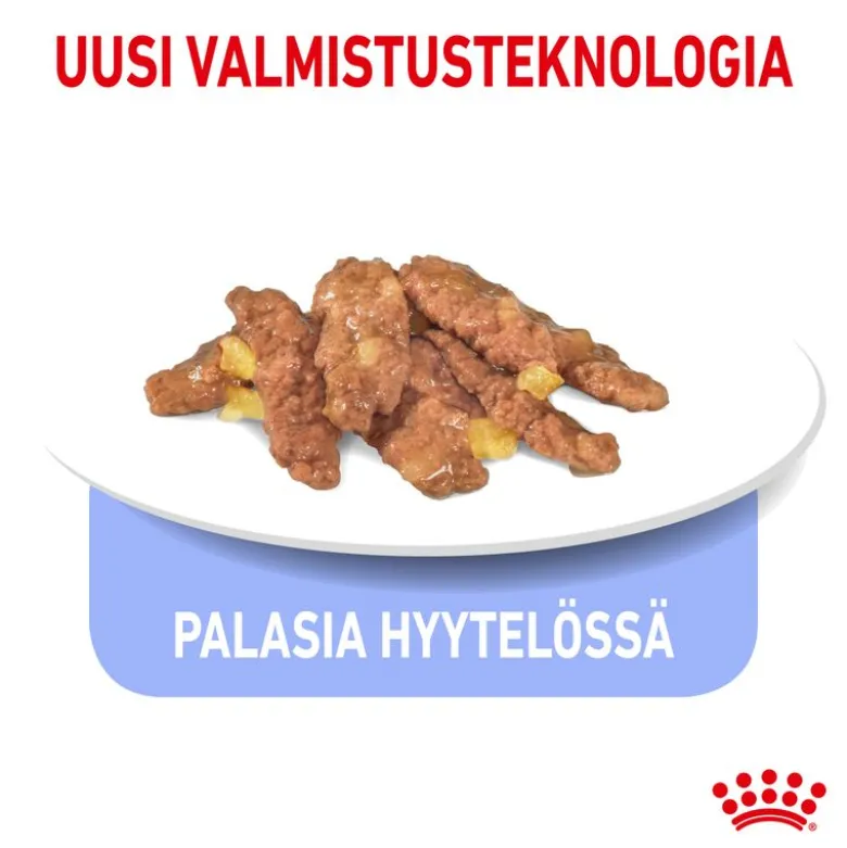 Royal Canin Indoor Sterilised hyytelössä