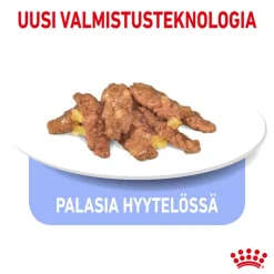 Royal Canin Indoor Sterilised 7+ hyytelössä
