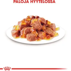 Royal Canin Instinctive hyytelössä