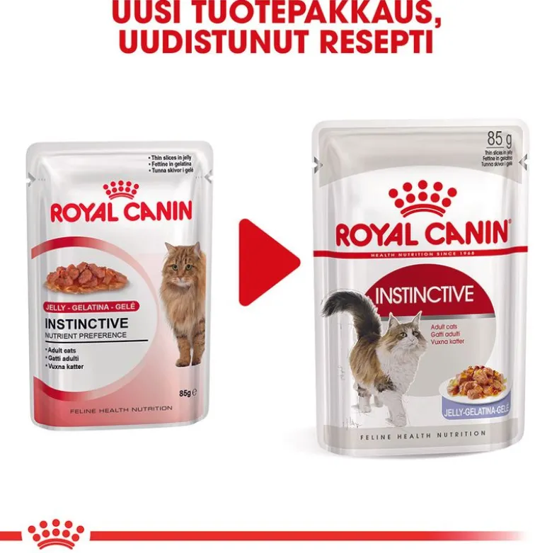 Royal Canin Instinctive hyytelössä