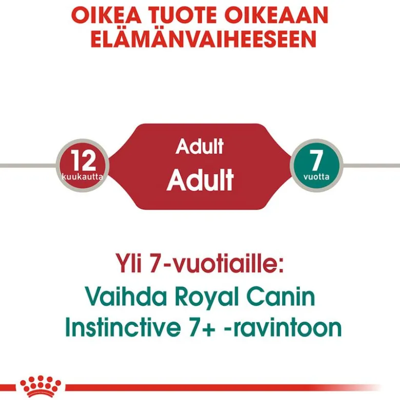 Royal Canin Instinctive hyytelössä