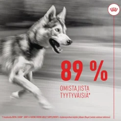 Royal Canin Joint & Ageing Chews Adult Supplement