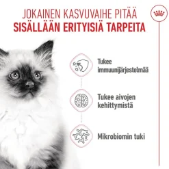 Royal Canin Kitten